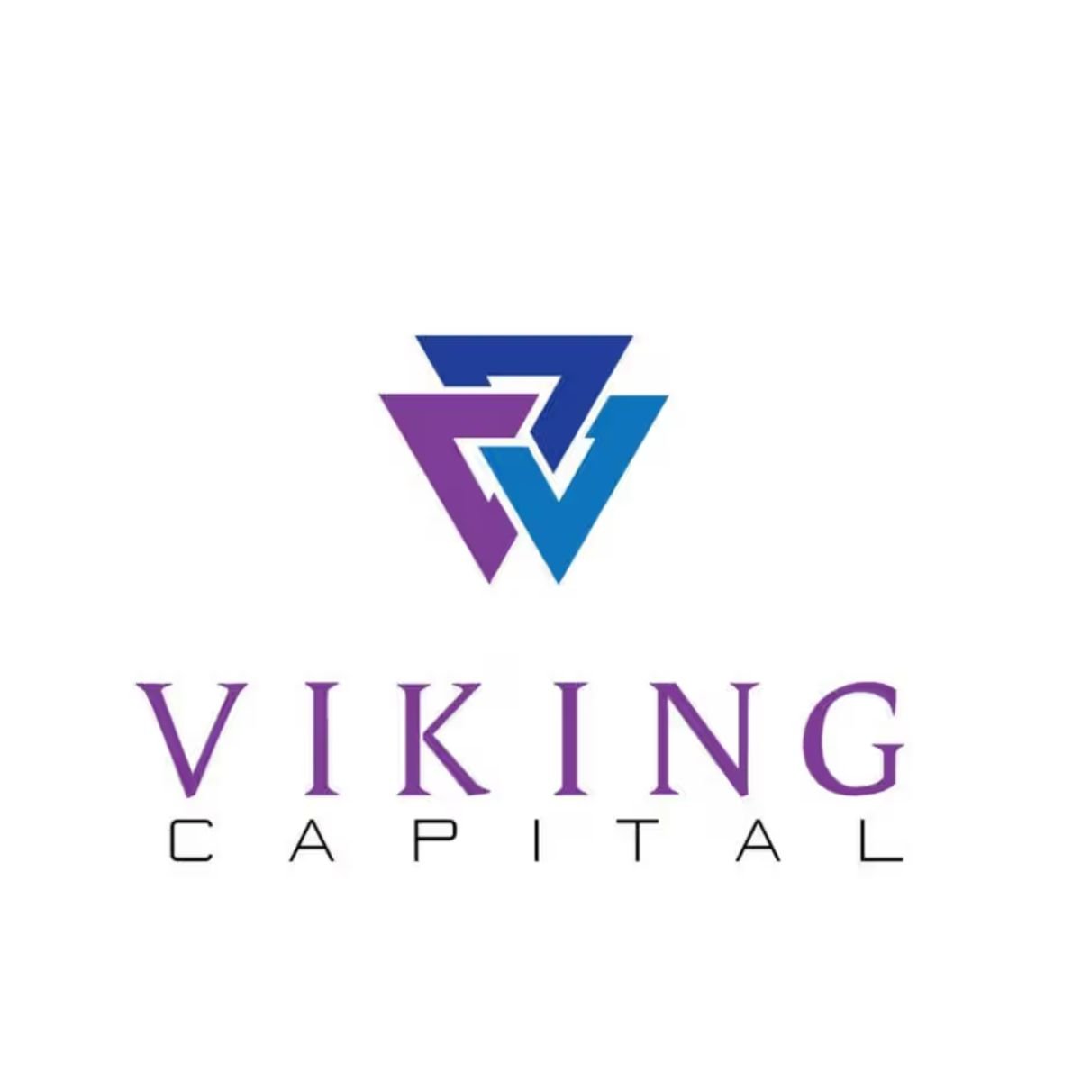 viking viking capital